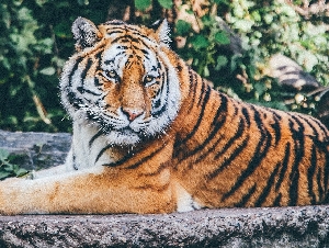 Safari Zoo Mallorca