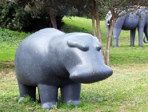 Sa Bassa Blanca
