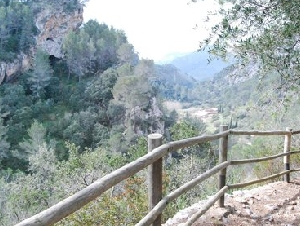La Reserva Puig de Galatzó