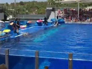 Marineland Mallorca