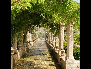 Jardines de alfabia